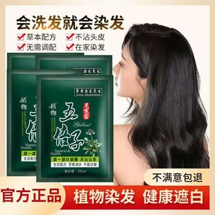 五贝子一洗黑染发剂植物纯正品 专用官方旗舰店泡泡染 染发膏女男士
