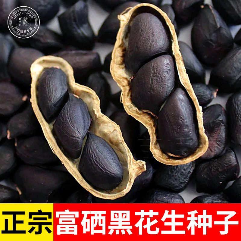 富硒黑色花生种子孑新鲜不带壳黑花生种籽大粒薄壳优质四粒红南方图片