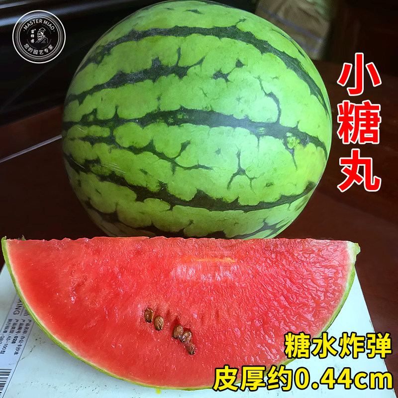 小糖丸西瓜种子苏梦6号2k小型礼品型薄皮西瓜种籽早熟高产盆栽孑