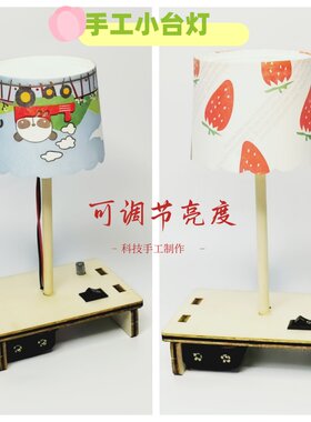初三科技小制作 DIY手工发明电位器调节亮度创意台灯科学实验材料