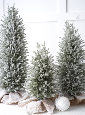 北欧落雪圣诞小树45CM60CM75CM酒店橱窗装饰仿真纯PE绿色圣诞树