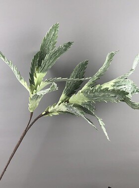 仿真假花北欧灰绿色EVA叶子设计师花材花艺搭配场景家居茶几摆件