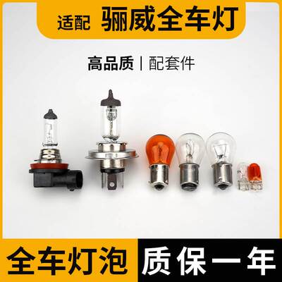 适用于骊威远近光远刹车灯泡倒车前转向后示宽雾灯侧转向牌照灯