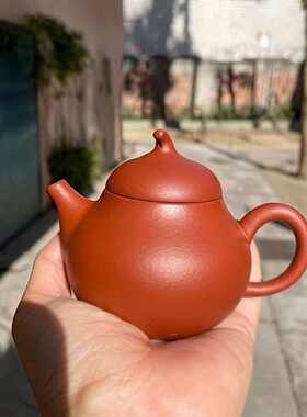 茄瓜壶朱泥紫砂壶泡茶壶陶瓷功夫茶具单壶家用送礼一人用2026新款