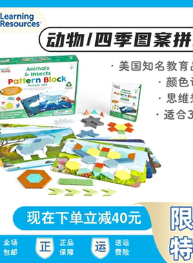 美国hand2mind七巧板智慧形状拼块积木儿童思维逻辑教具玩具桌游