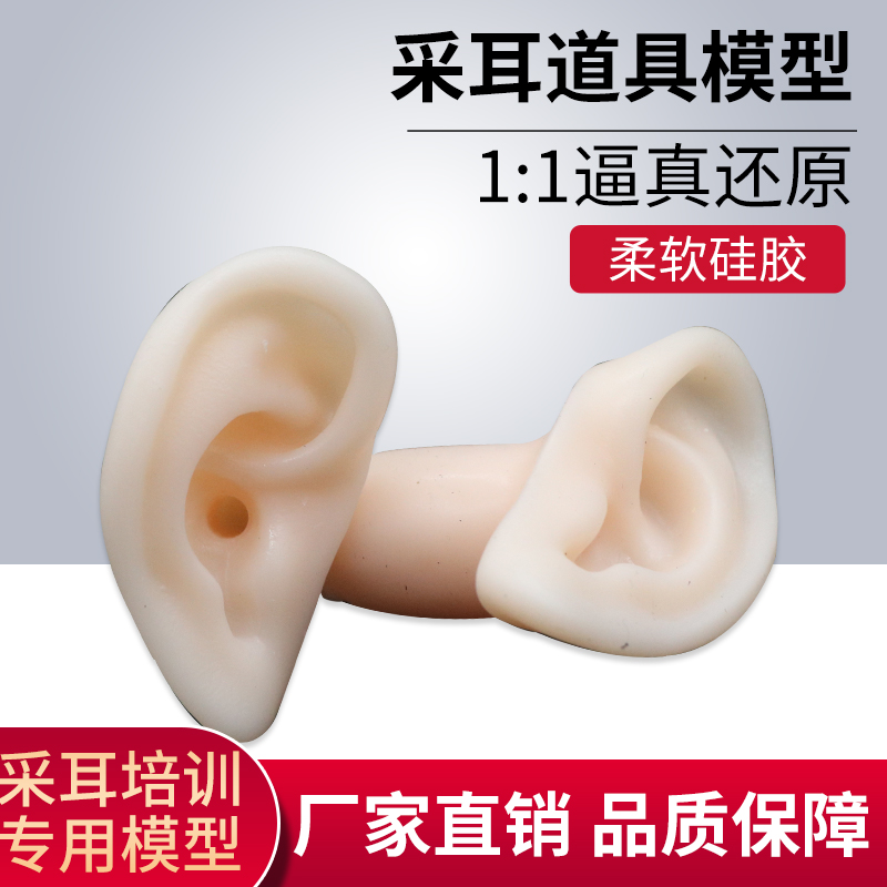 仿真假耳朵模型耳机展示耳钉耳环助听针灸练习器采耳教学成人硅胶