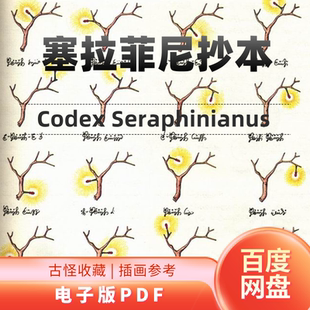 塞拉菲尼抄本 CodexSeraphinianus 古怪收藏 PDF 电子版 影印版