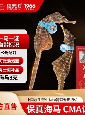 福东海大海马干货公母配对海龙海马干增炖高汤中煲汤药材正品泡酒