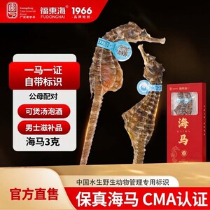 福东海大海马干货公母配对海龙海马干增炖高汤中煲汤药材正品泡酒
