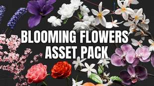 Blender盛开花朵【Blooming Flowers -GeoNodesCurveAsset Pack】