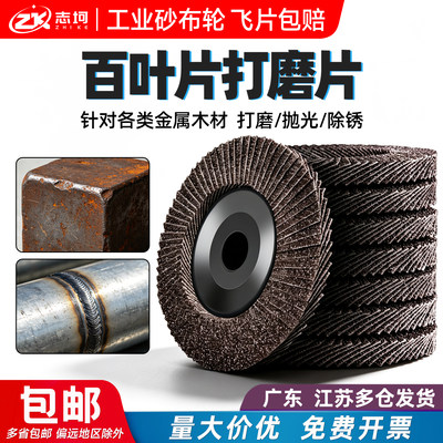 志坷100加厚网盖百叶轮