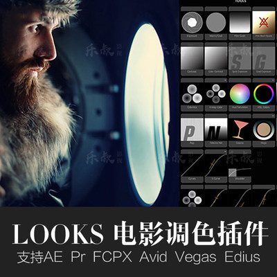 专业电影级LUTs调色预设LOOKS 支持PR/Fcpx/AE/edius/vegas附教程