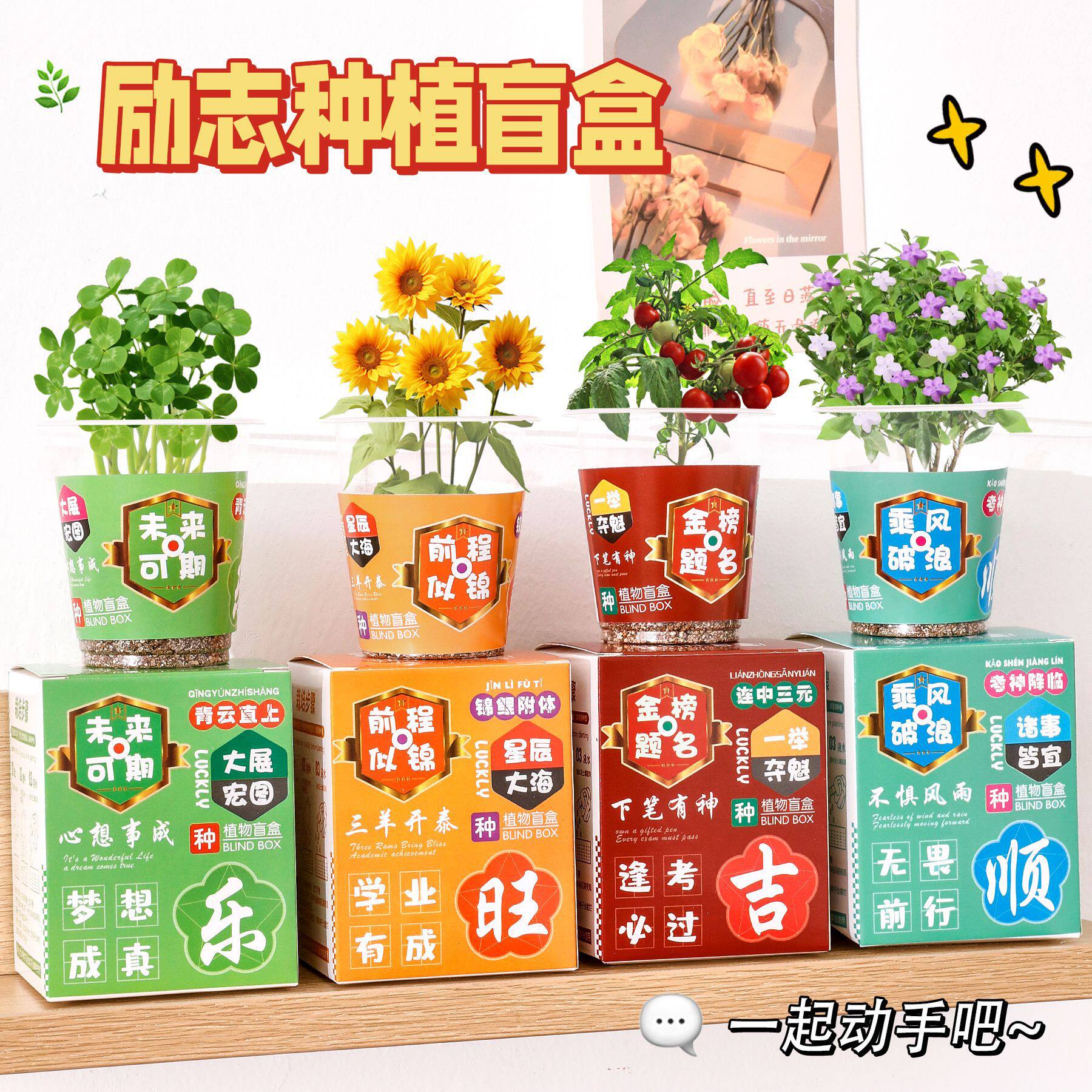 励志文字种植盆栽盲盒小学生创意小礼品儿童桌面植物绿植小摆件