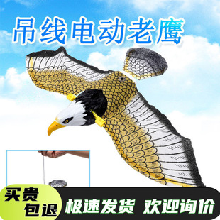 仿真吊线鸟 能飞会叫的老鹰鹦鹉 发光发声电动吊线飞鹰 动物玩具