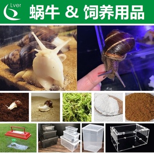 蜗牛饲养用品钙土钙沙宠物活体教学实验白玉蜗牛补钙粉蛋壳粉饲料
