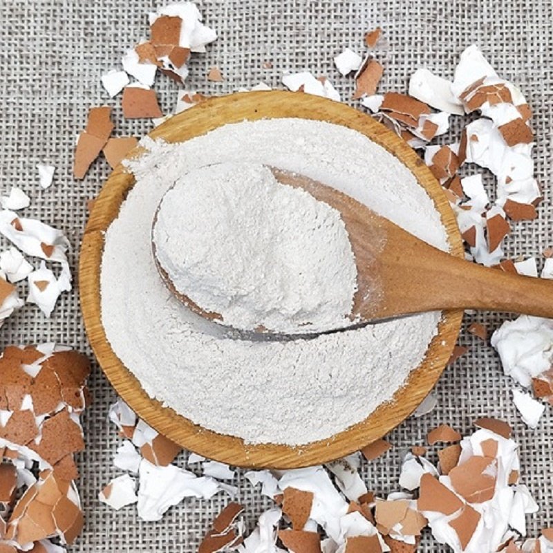 蜗牛补钙粉超细鸡蛋壳粉骨粉白玉蜗牛壳粉猫狗等其他宠物补钙粉