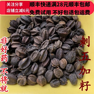 50g 刺五加籽 五加籽 中药材 正品精选无硫 可打粉 满28包邮