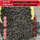 可打粉 费 满28 水红花子 50g 同品质 免邮 同仁堂