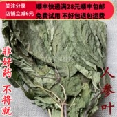 同品质 满28 人参叶 同德 可打粉 50g 包邮