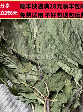 50克人参叶中药材正品精选无硫