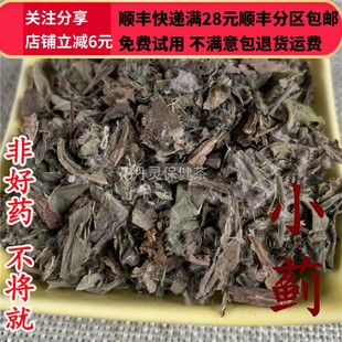 可打粉 费 满28 小蓟 50g 同品质 免邮 同仁堂