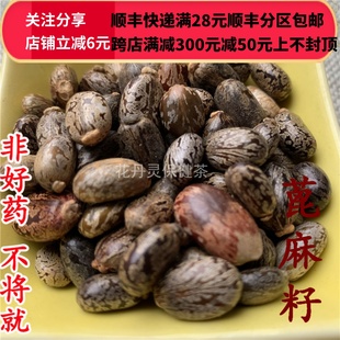 无硫 50g 包邮 同仁堂 可打粉 蓖麻籽 同品质 蓖麻子 满28