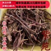 紫苑 紫菀 50g 同德 无硫 正品 满28 可打粉 同品质 包邮