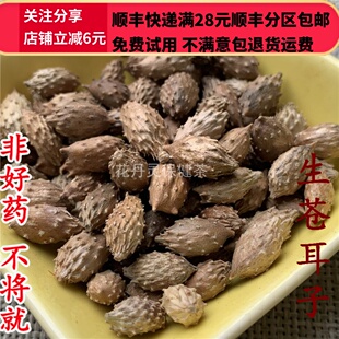 免邮 可打粉 无硫 同仁堂 费 苍耳子 满28 50g 同品质