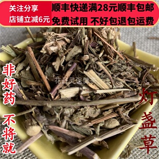同德  同品质 灯盏草 灯盏花  灯盏细辛 50g 可打粉 满28包邮