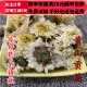 同品质 包邮 黄山贡菊 50g 同德 满28 菊花 可打粉