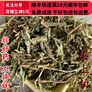 50g 石上柏 中药材 正品精选无硫 可打粉满28包邮