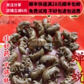 蝉蜕 蝉衣 50g 同德 虫退 正品 满28 可打粉 同品质 包邮