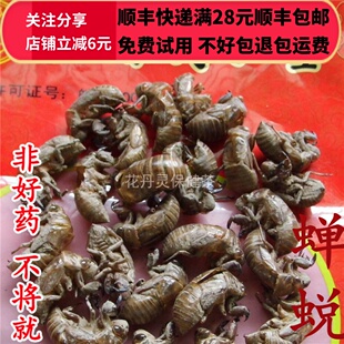 50g 蝉蜕 知了壳 蝉衣 爬了猴中药材正品精选无硫 可打粉满28包邮