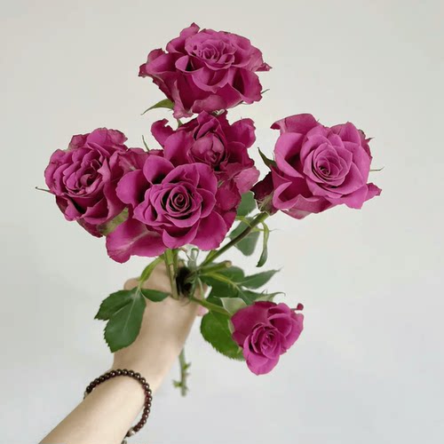 多头蓝莓玫瑰送人家用瓶插花小众