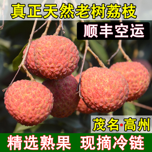 顺丰空运|白糖罂甜荔枝老树大果