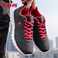 Giày thể thao nam Jordan giày thể thao nam mùa hè 2019 giày da mới mùa thu giày lưới thoáng khí giày thông thường - Giày chạy bộ giày thể thao puma