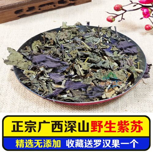 广西深山无添加紫苏叶干泡茶喝