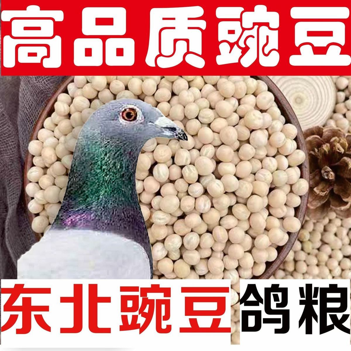大白豌豆喂鸽子鸽粮酿酒豌豆5斤10斤大白豌豆100斤批发散装鸽子粮