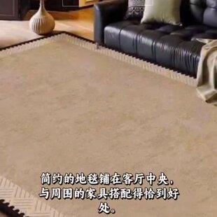 法式卡通客厅地毯卧室沙发地垫防水免洗可擦加厚防滑耐脏大地垫