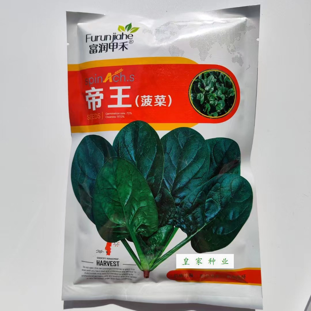 富润甲禾帝王菠菜种子中早熟深绿叶抗病耐热秋播大叶菠菜种籽高产 农用物资 蔬菜种子 原图主图