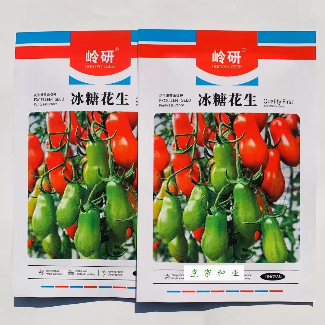 岭研冰糖花生小番茄种子无限生长型长椭圆红果樱桃小西红柿种籽