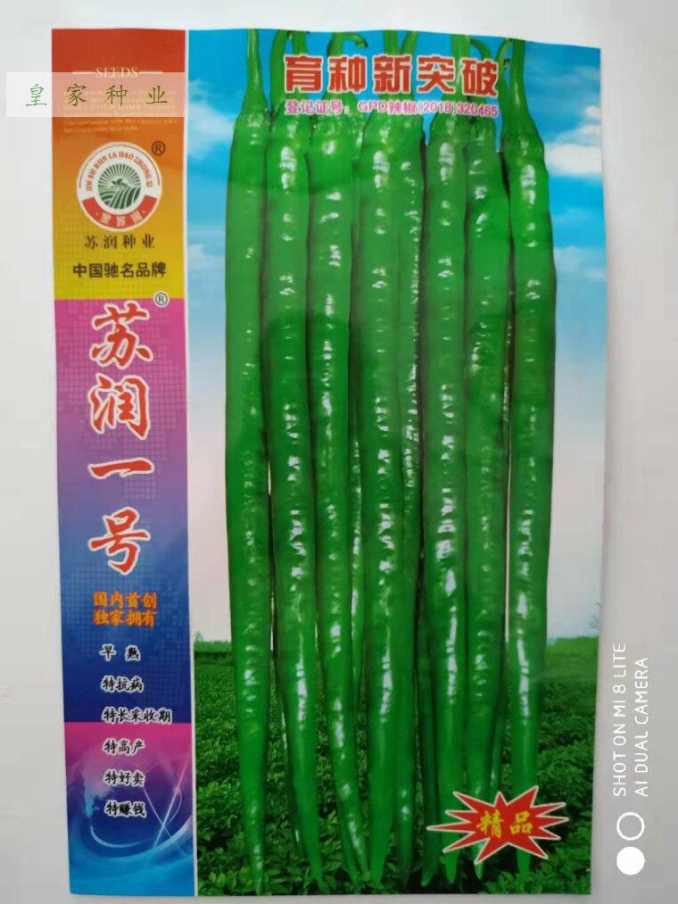 苏润一号/998/一椒辣椒种子早熟绿色长果线椒种子抗病高产中辣
