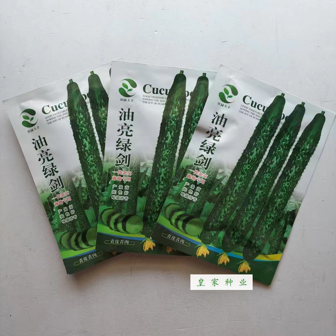 田园大丰油亮绿剑黄瓜种子青皮青肉耐热顺直黄瓜种籽露地专用高产