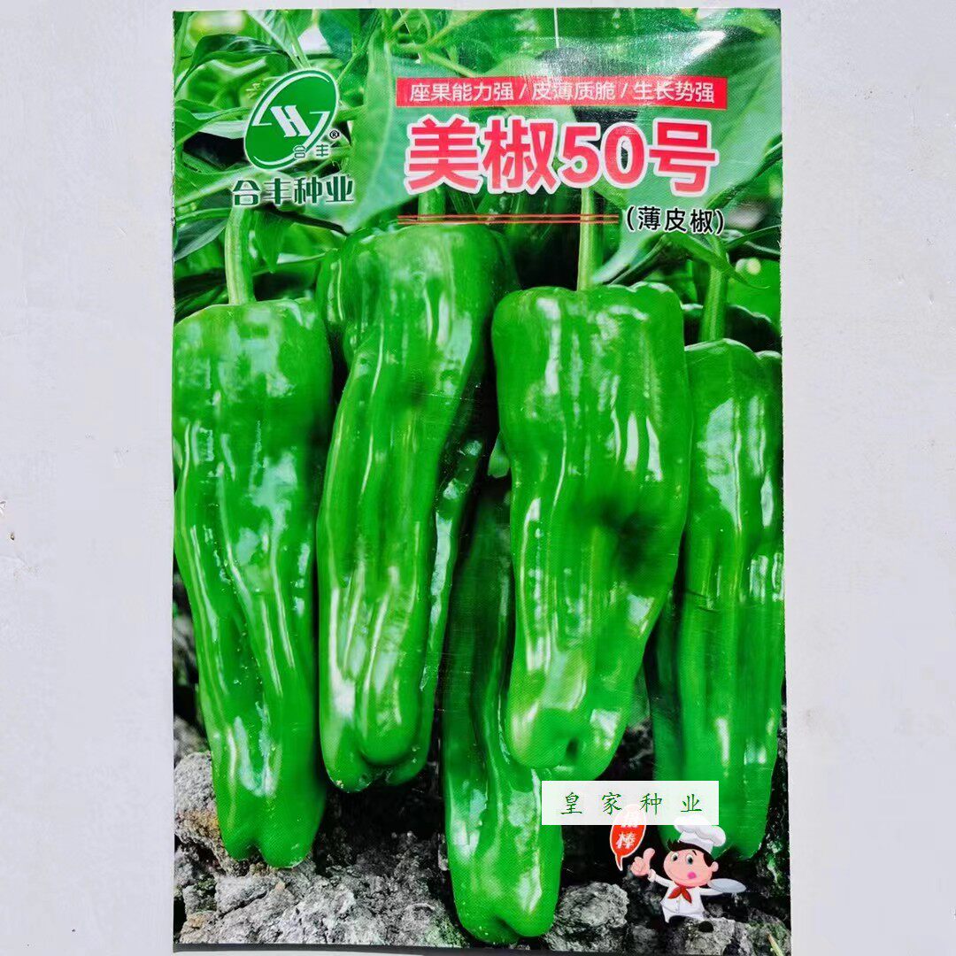 合丰美椒50号薄皮椒种子早熟灯笼椒春秋播种辣椒种籽抗病大果辣椒