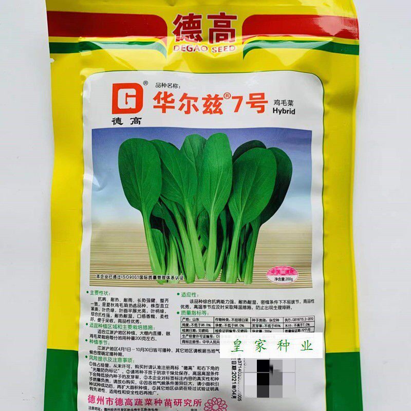 德高华尔兹7号鸡毛菜青菜种子上海青梗菜种籽耐热耐雨抗病蔬菜籽