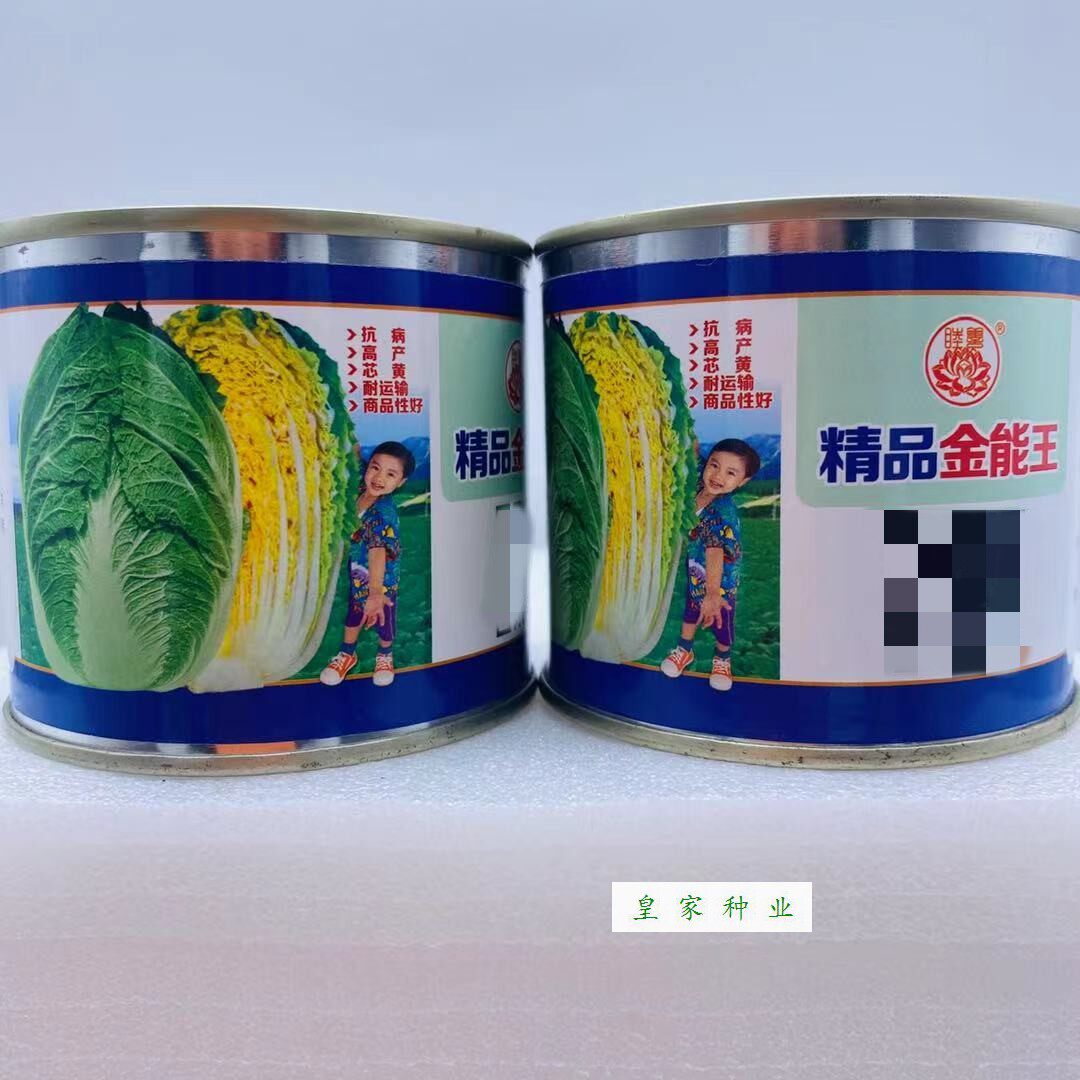 精品全能王大白菜种子黄心菜种籽秋播抗病高产耐运输蔬菜大田用种