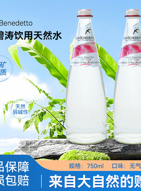 意大利进口SANBeneBetto圣碧涛矿泉水高端玻璃瓶天然饮用泉水