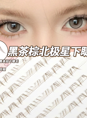 黑茶棕~北极星下睫毛懒人分段假睫毛仿真辣妹浓密自然漫画毛流感
