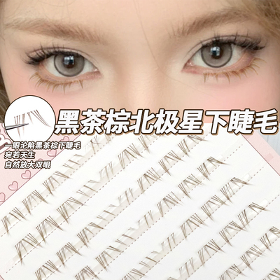 黑茶棕~北极星下睫毛懒人分段假睫毛仿真辣妹浓密自然漫画毛流感