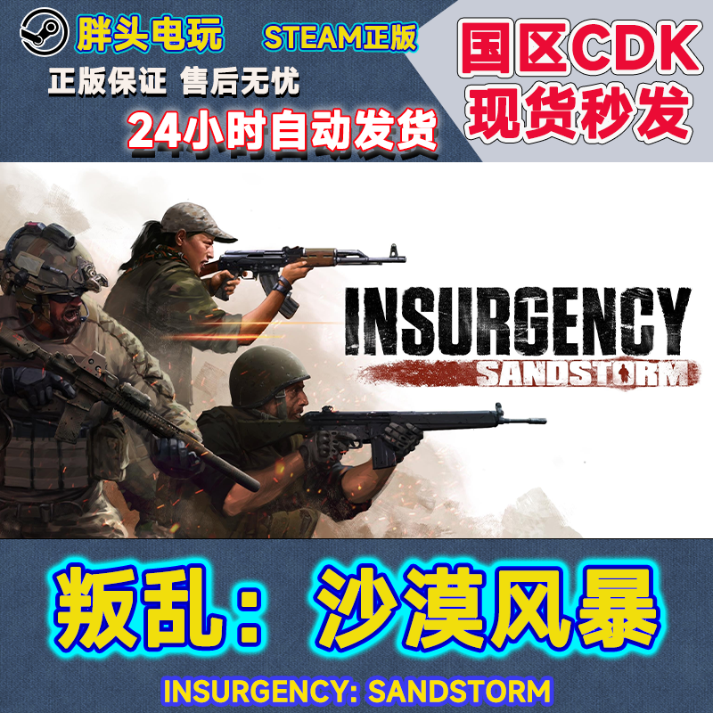 PC正版Steam国区KEY叛乱沙漠风暴 Insurgency Sandstorm现货秒发-封面